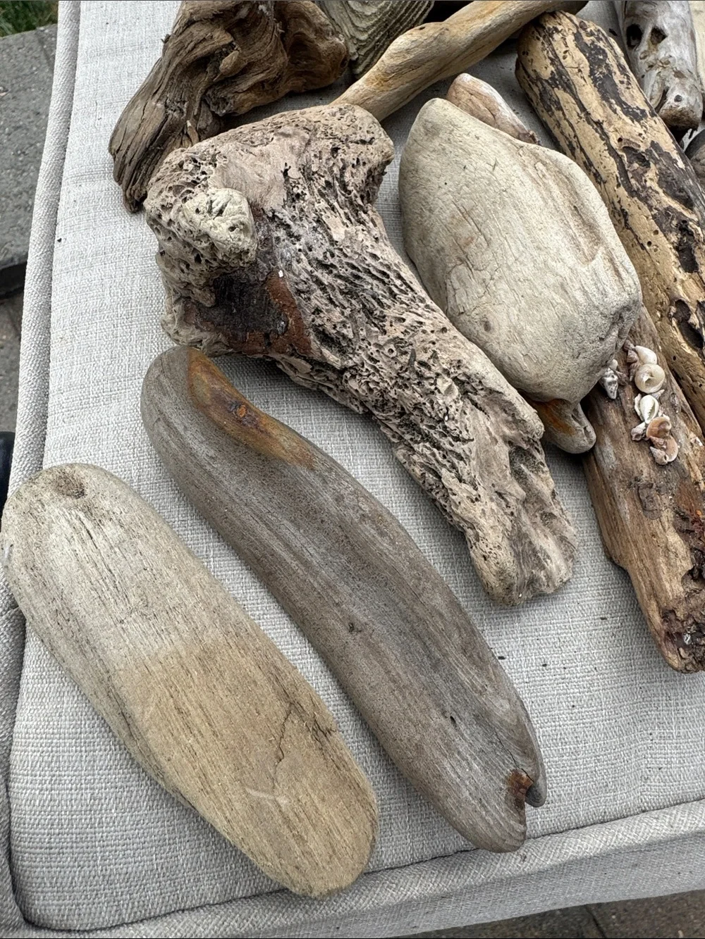 34 Pc (5lbs shipped) Box of beach Natural Driftwood Pieces for craft or decor